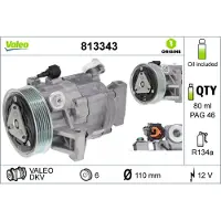 Valeo 813343 Aircopomp