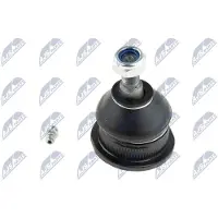 NTY Fuseekogel ZST-CH-003