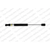 LESJÖFORS 8177813 Gasveer achterklep