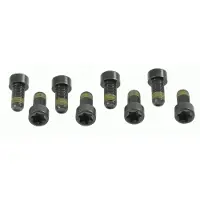 SACHS 1874 000 006 Schroevenset, vliegwiel