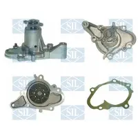 Saleri SIL PA1059 Waterpomp
