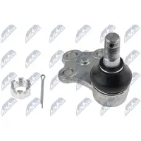 NTY Fuseekogel ZSD-NS-022