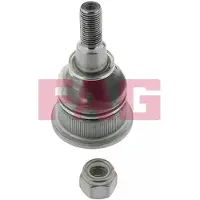 Fag Fuseekogel 825 0164 10