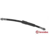 Brembo T 23 194 Remslang