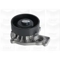 Graf PA1277 Waterpomp