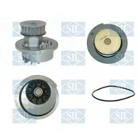 Saleri SIL PA437P Waterpomp
