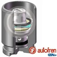 AUTOFREN SEINSA D02594K Zuiger, remklauw