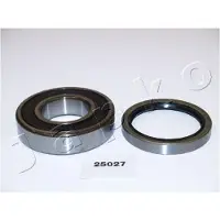 Japko Wiellagerset 425027
