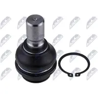 NTY Fuseekogel ZSD-NS-021