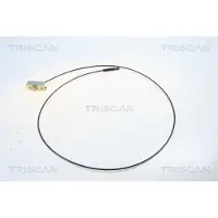 TRISCAN 8140 251101 Handremkabel