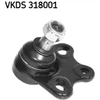 Skf Fuseekogel VKDS 318001
