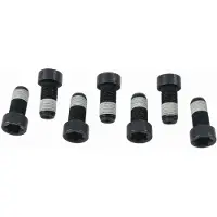 SACHS 1874 000 043 Schroevenset, vliegwiel