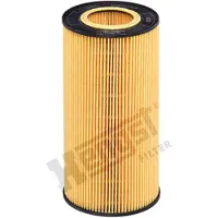 HENGST FILTER Oliefilter E89H D213
