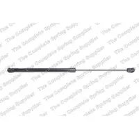 LESJÖFORS 8162058 Gasveer achterklep