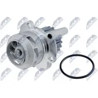 NTY CPW-AU-024 Waterpomp