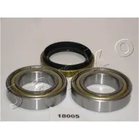 Japko 418005 Wiellagerset