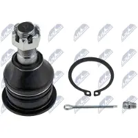 NTY Fuseekogel ZSD-NS-041