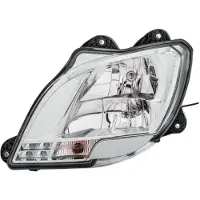 Hella Koplamp 1ED 010 116-531 Hella voor o.a. DAF