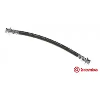 Brembo T 54 010 Remslang