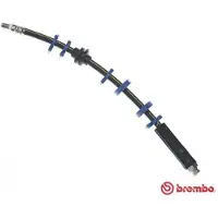 Brembo T 23 143 Remslang