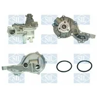 Saleri SIL PA521S Waterpomp