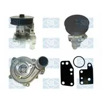 Saleri SIL PA1254 Waterpomp