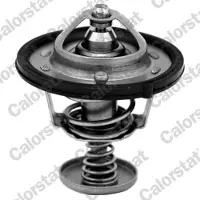 CALORSTAT by Vernet TH6870.82J Thermostaat, koelvloeistof