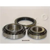 Japko 420309 Wiellagerset