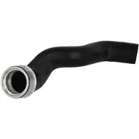 THERMOTEC Slang, luchtRadiator DCW031TT