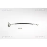 TRISCAN 8150 18116 Remslang
