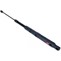 MAXGEAR 12-2522 Gasveer motorkap