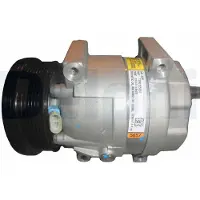 Delphi A/C compressor TSP0155657