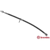 Brembo T 23 197 Remslang