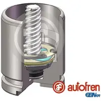 AUTOFREN SEINSA D025472K Zuiger, remklauw