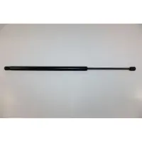 AUTOMEGA 100046010 Gasveer achterklep