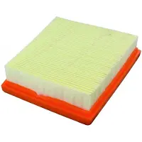 VAICO V25-0189 Luchtfilter