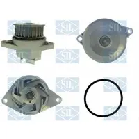 Saleri SIL PA846A Waterpomp