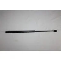AUTOMEGA 100098710 Gasveer achterklep