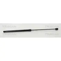 TRISCAN 8710 292050 Gasveer achterklep