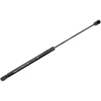 VAICO V42-0244 Gasveer achterklep