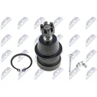 NTY Fuseekogel ZSD-CH-028