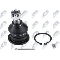 NTY Fuseekogel ZSG-MS-006