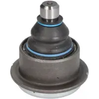 REINHOCH RH03-6013 Fuseekogel
