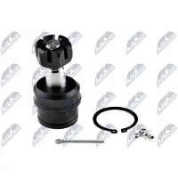NTY Fuseekogel ZSD-CH-003A