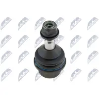 NTY Fuseekogel ZSD-CH-032