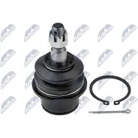 NTY Fuseekogel ZSD-CH-030