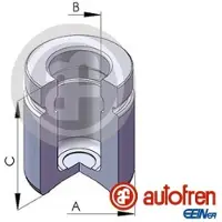 AUTOFREN SEINSA D025552 Zuiger, remklauw