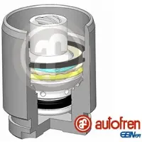 AUTOFREN SEINSA D025545K Zuiger, remklauw