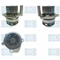 Saleri SIL PA1455A Waterpomp
