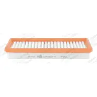Champion Luchtfilter CAF100941P